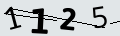 verifycode